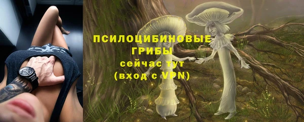 амфетамин Белокуриха